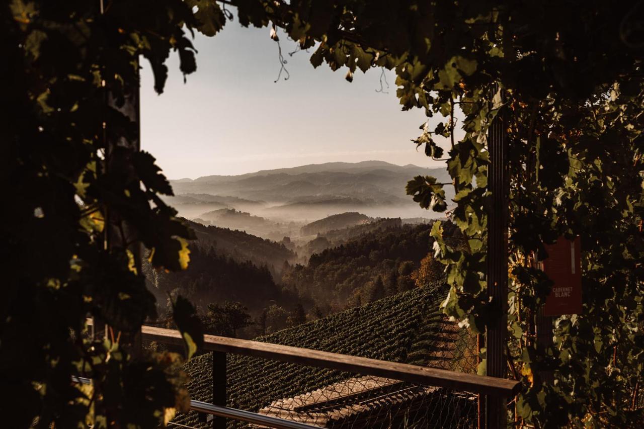 Вилла Weingut Kollerhof Am Eichberg Лойчах Экстерьер фото