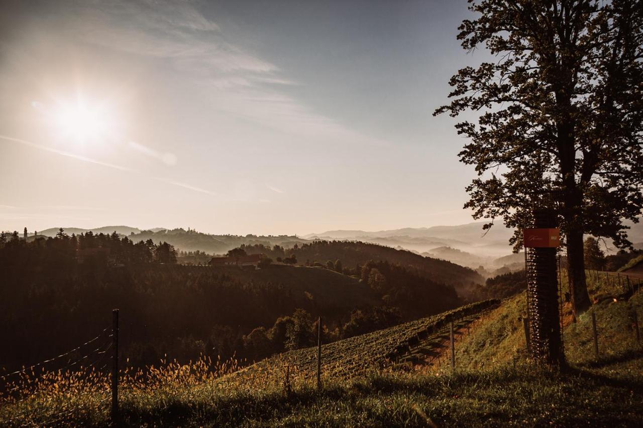Вилла Weingut Kollerhof Am Eichberg Лойчах Экстерьер фото