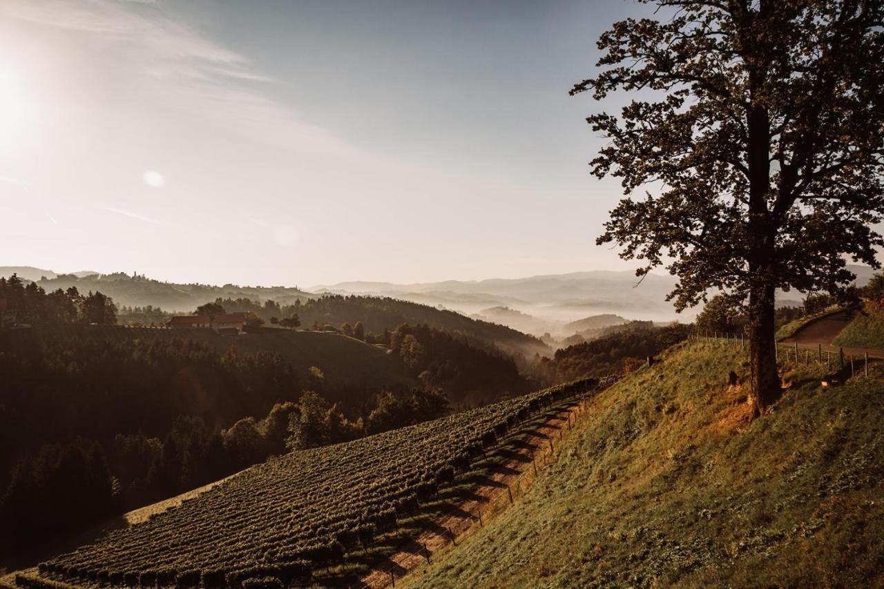Вилла Weingut Kollerhof Am Eichberg Лойчах Экстерьер фото