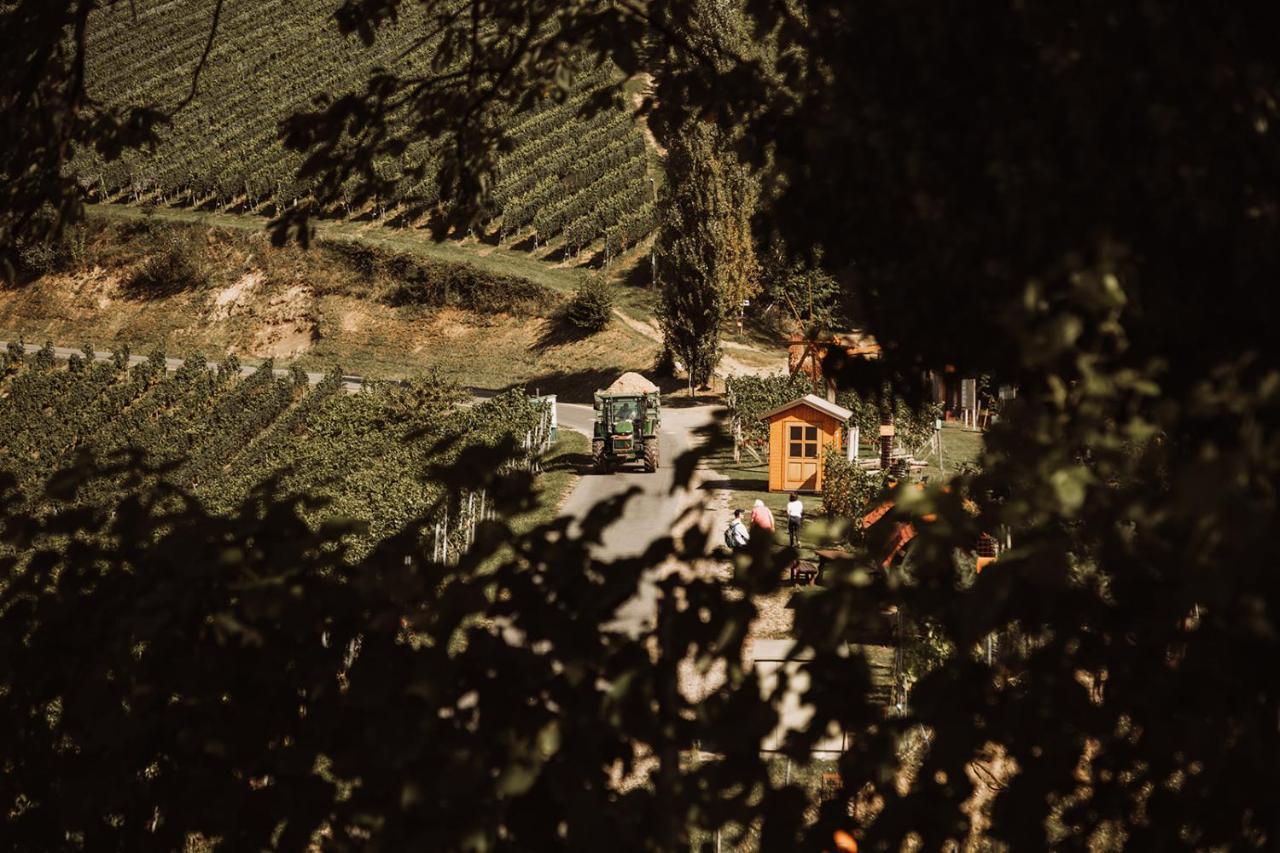 Вилла Weingut Kollerhof Am Eichberg Лойчах Экстерьер фото