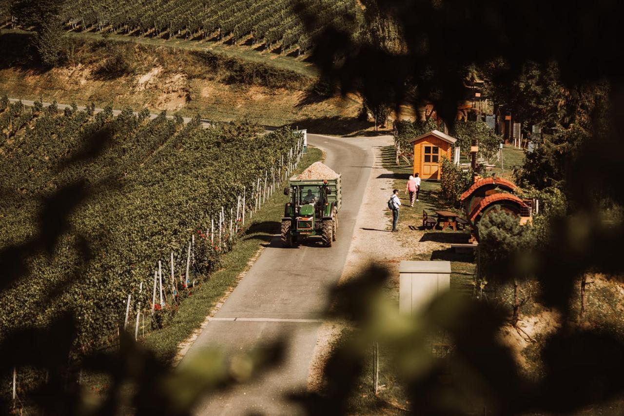 Вилла Weingut Kollerhof Am Eichberg Лойчах Экстерьер фото
