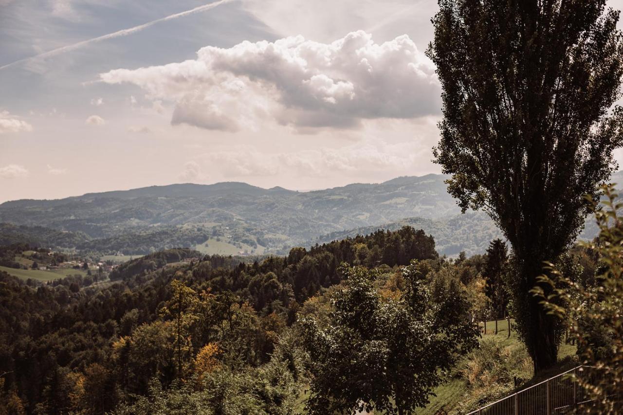 Вилла Weingut Kollerhof Am Eichberg Лойчах Экстерьер фото